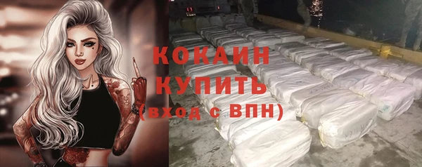 ГАЛЛЮЦИНОГЕННЫЕ ГРИБЫ Покачи